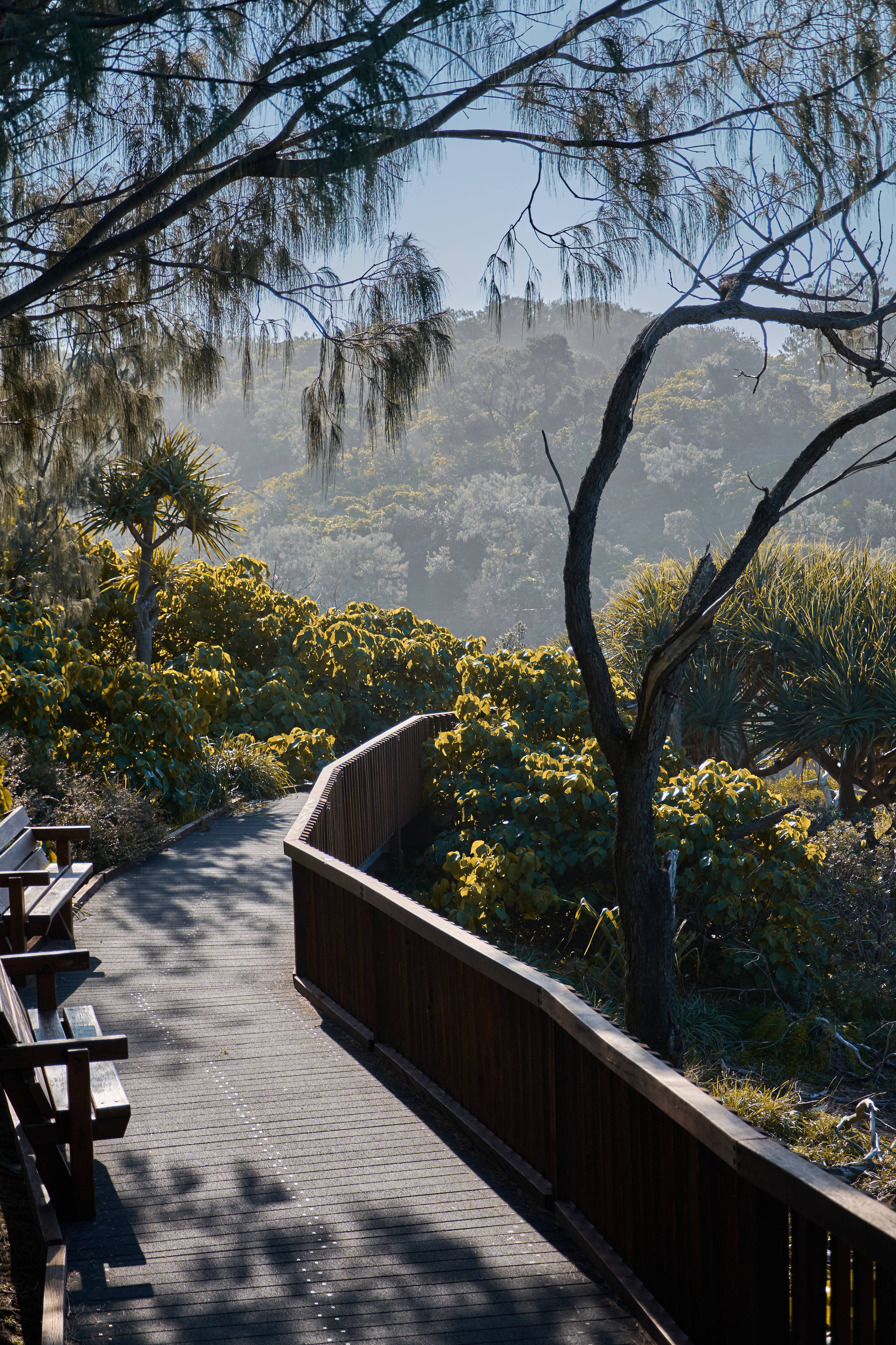 Australia photograph