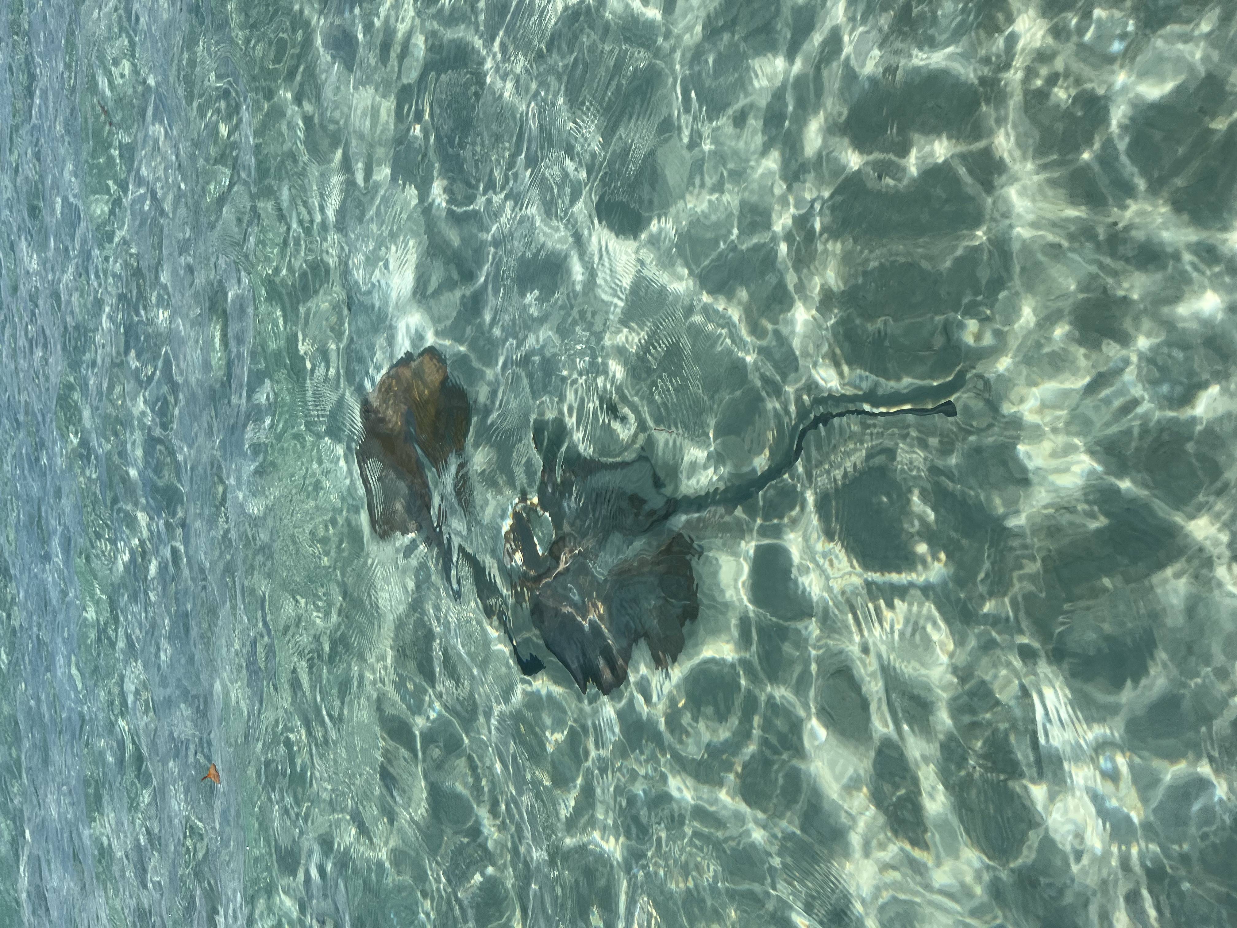 Australia photograph