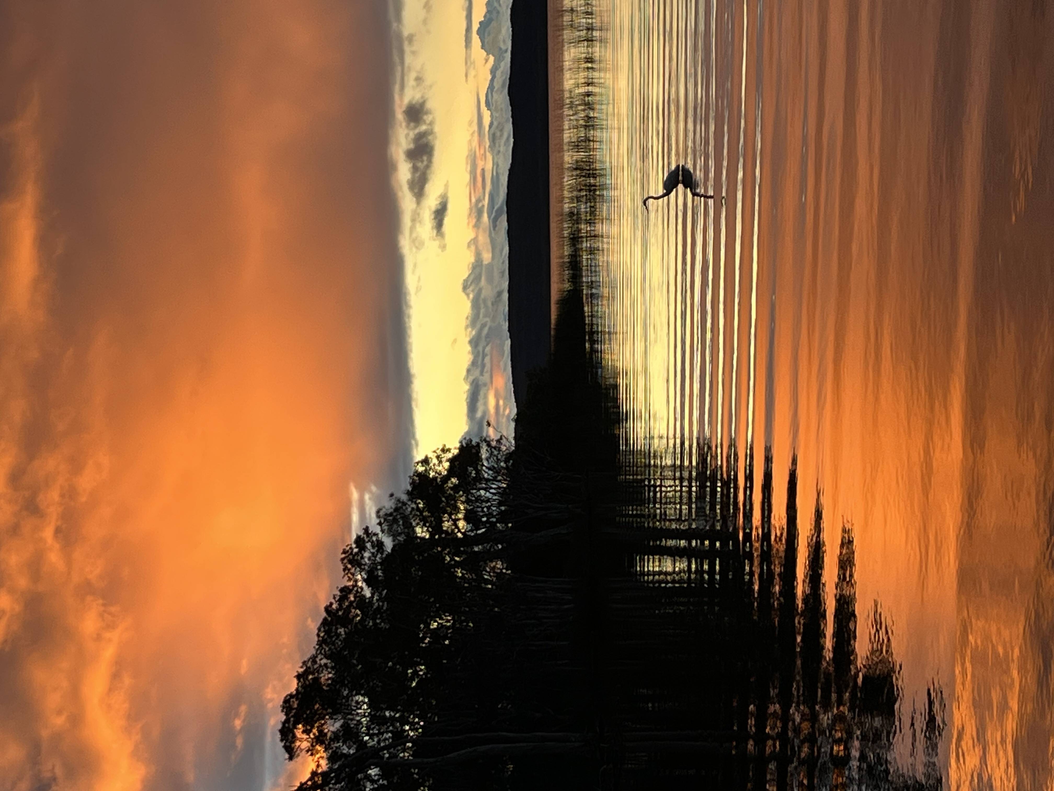 Australia photograph