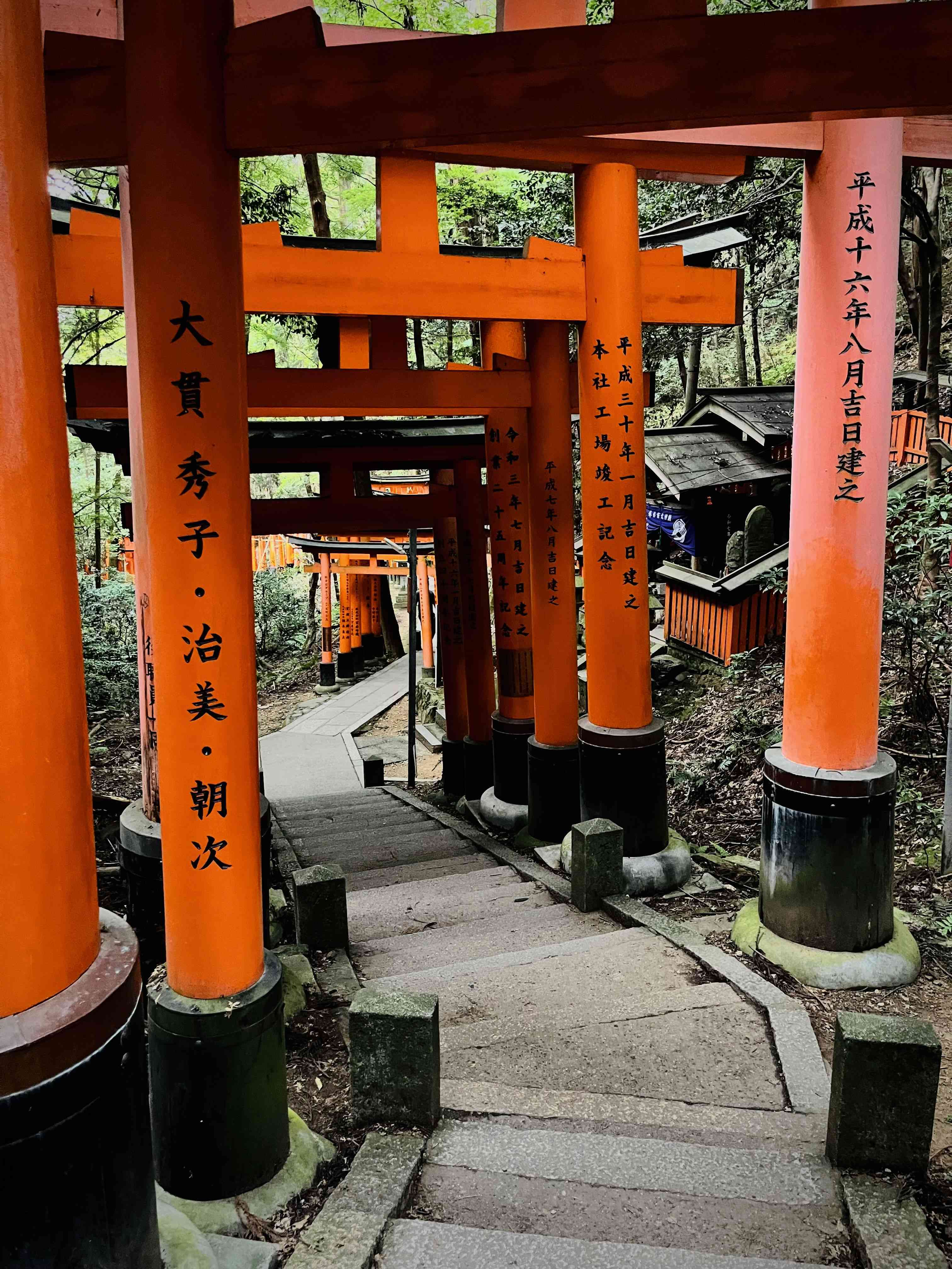 Japan photograph