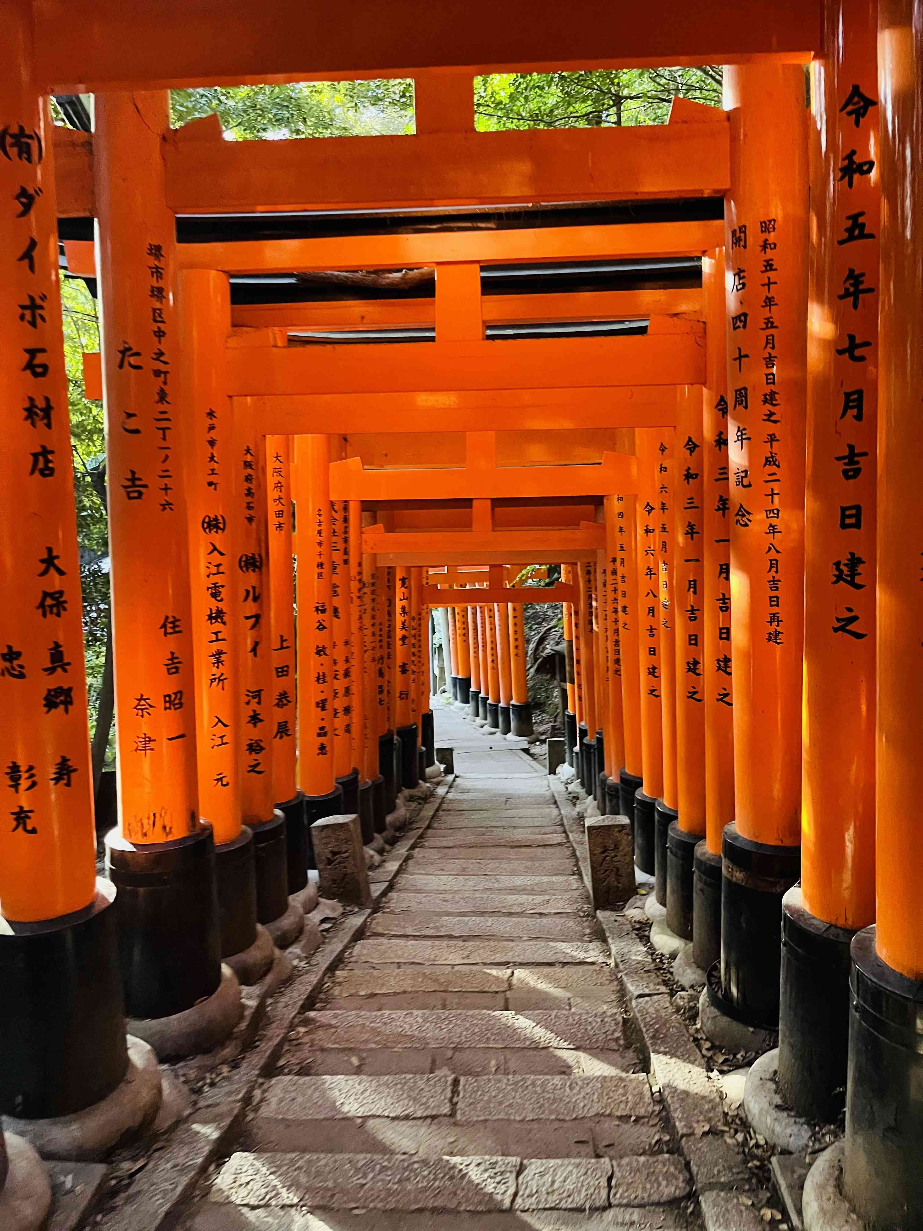 Japan photograph