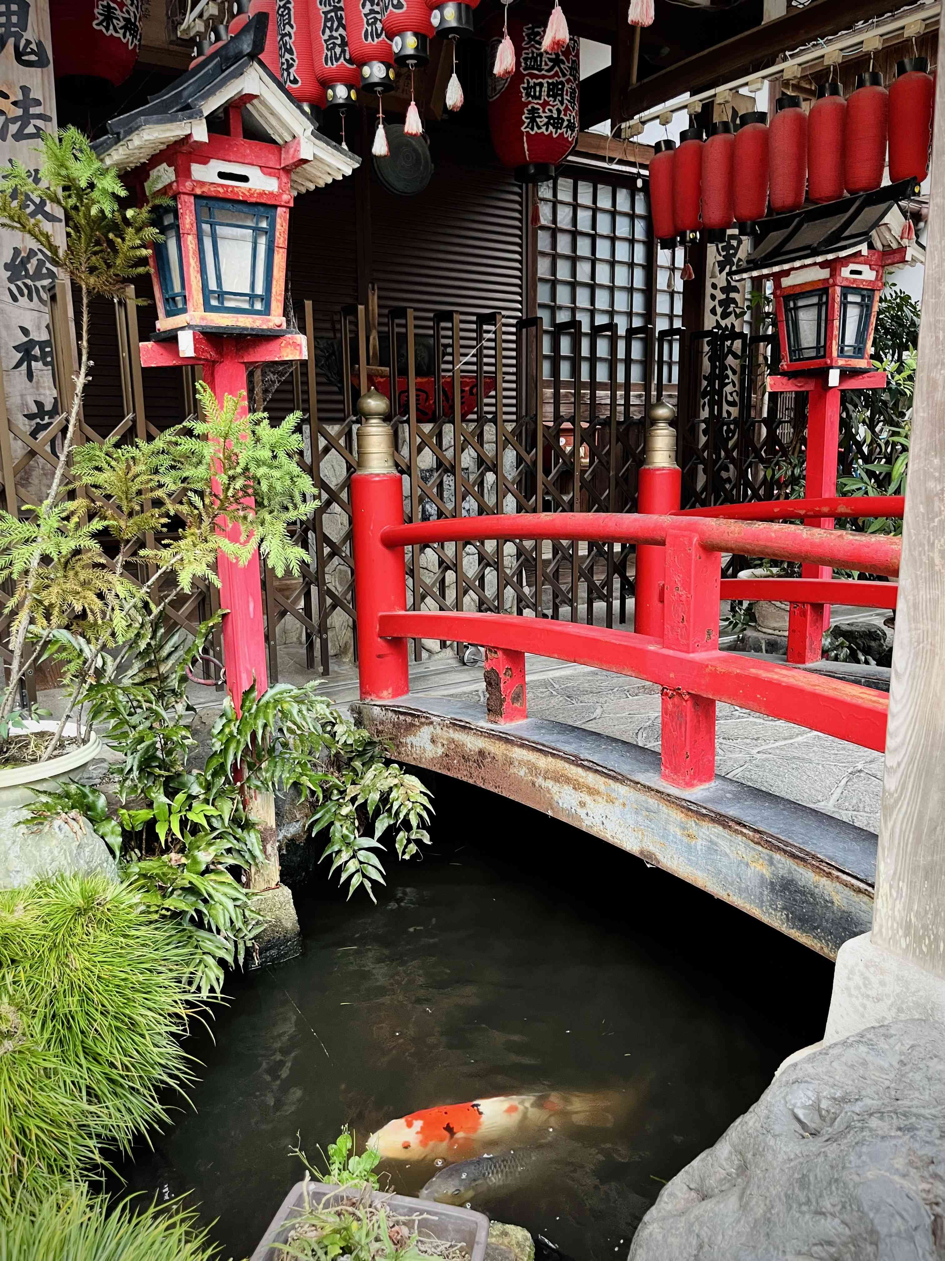 Japan photograph