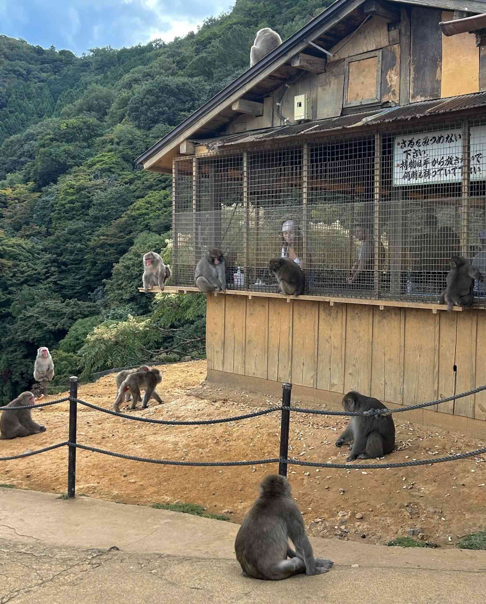 Japan photograph
