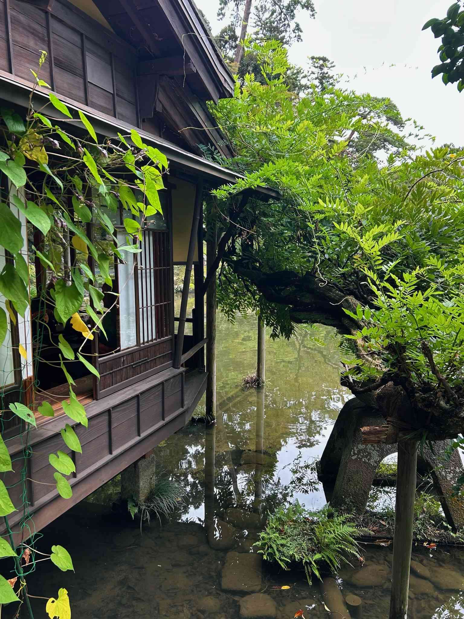 Japan photograph