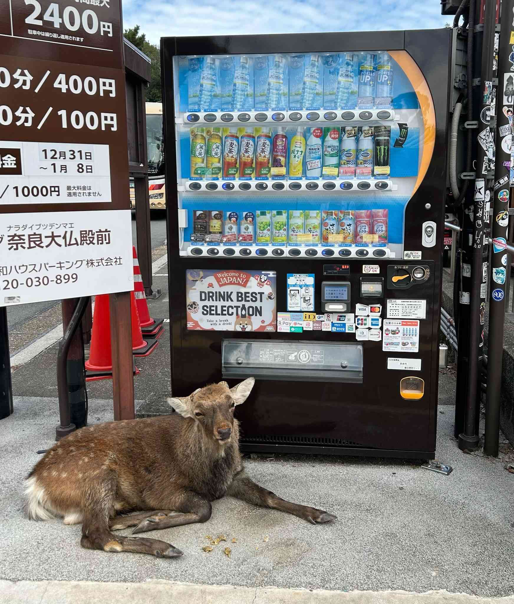 Japan photograph