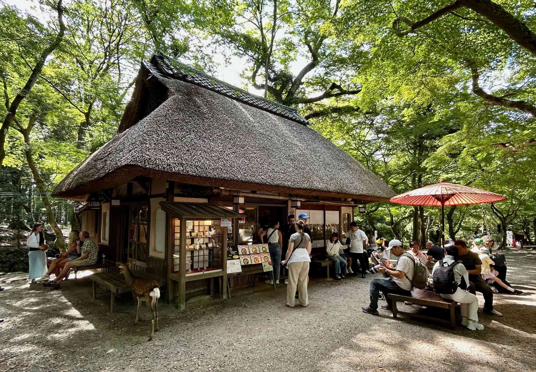 Japan photograph